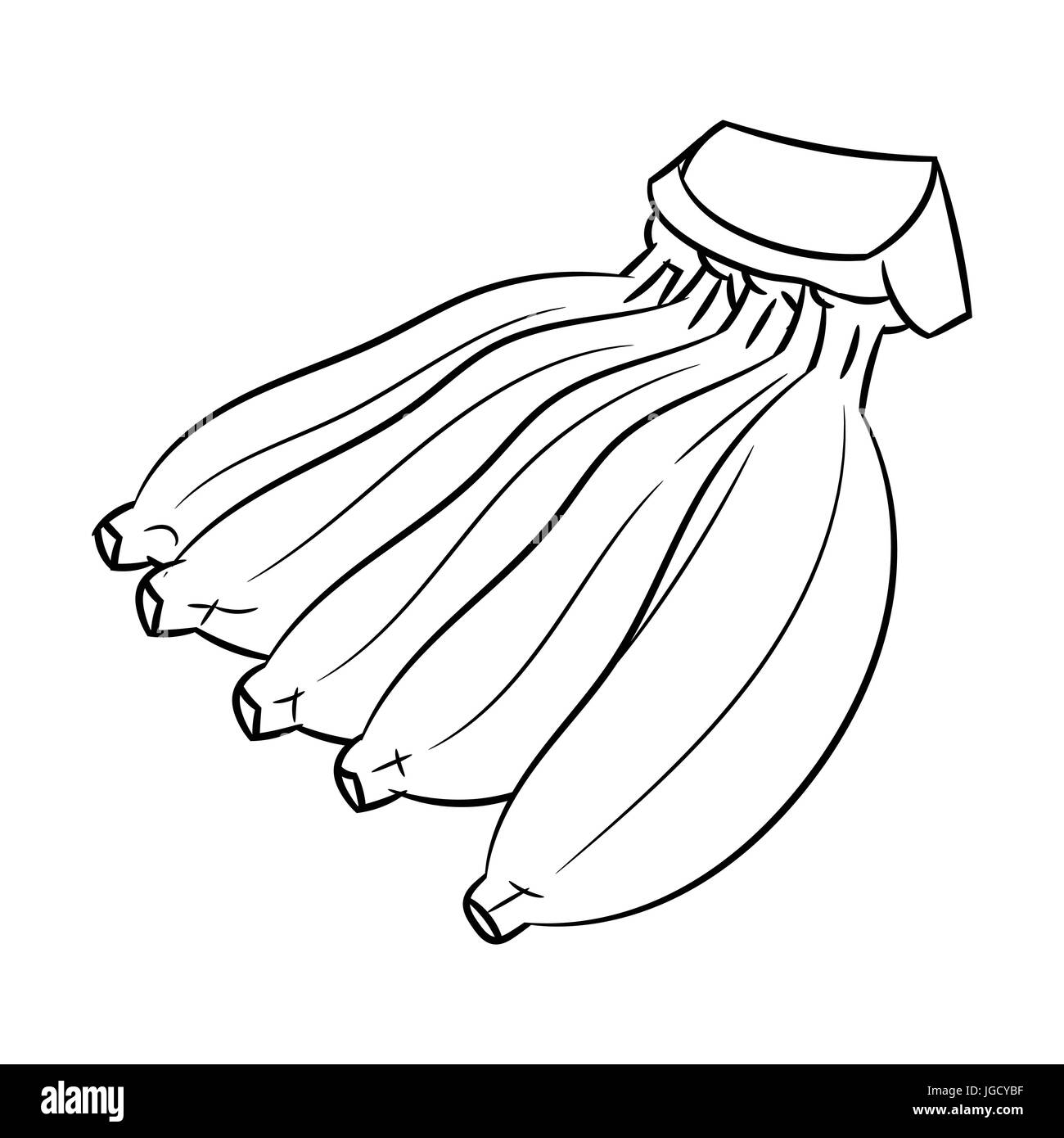 Mano bozzetto di coltivare banane, isolato in bianco e nero del fumetto illustrazione vettoriale per libro da colorare - Linea tracciata vettore Illustrazione Vettoriale