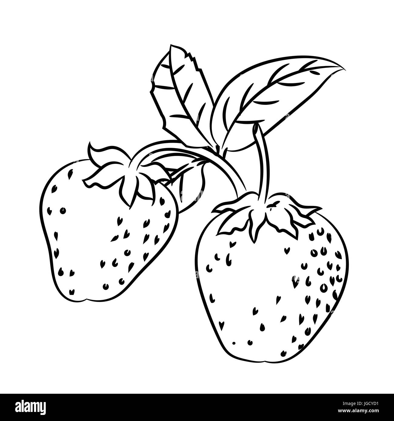 Mano bozzetto di fragola con ramo e foglia isolato, in bianco e nero del fumetto illustrazione vettoriale per libro da colorare - Linea tracciata vettore Illustrazione Vettoriale