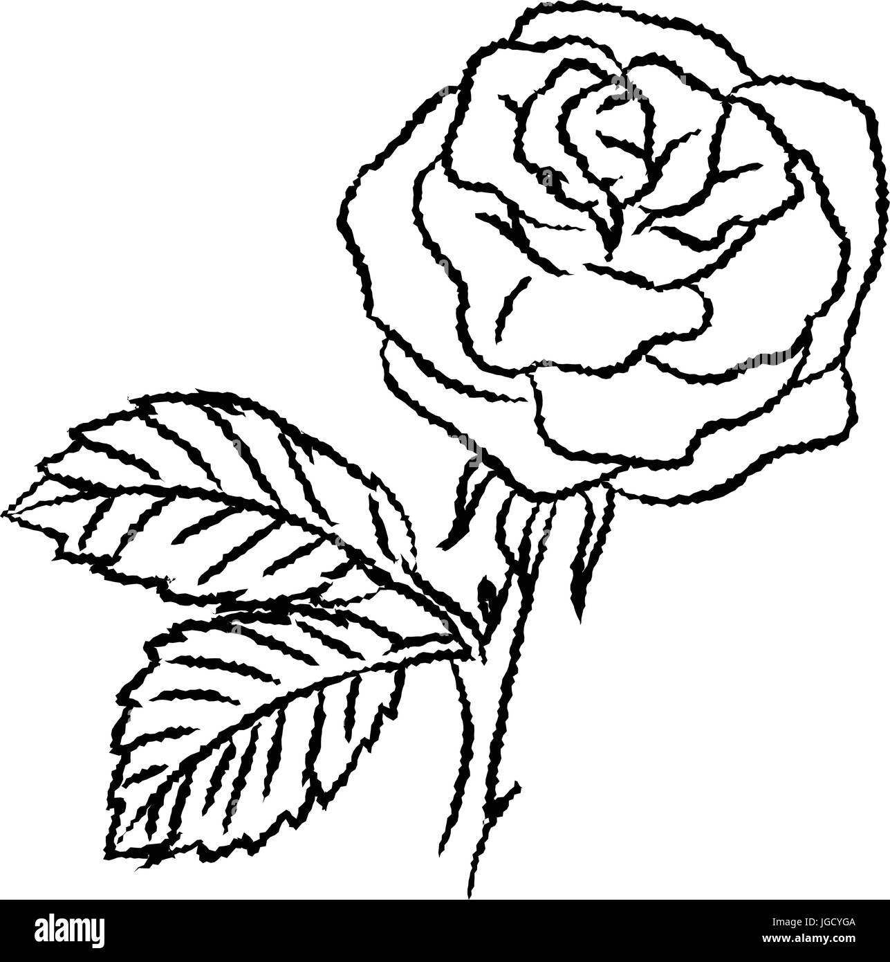 Mano bozzetto di Rose, isolato in bianco e nero del fumetto illustrazione vettoriale per libro da colorare - Linea tracciata vettore Illustrazione Vettoriale