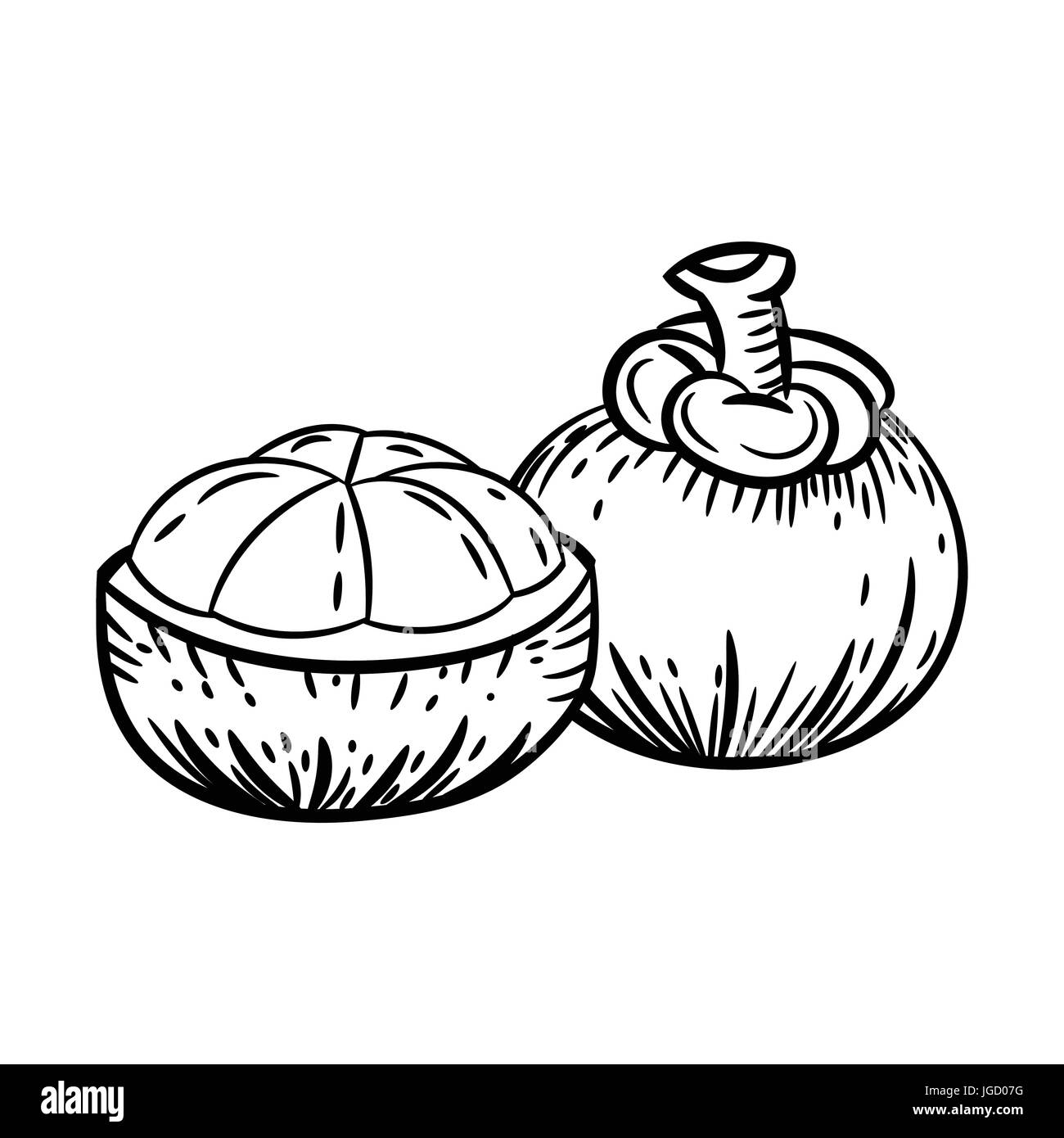 Disegno della linea di Mangosteen -semplice vettore di linea Illustrazione Vettoriale