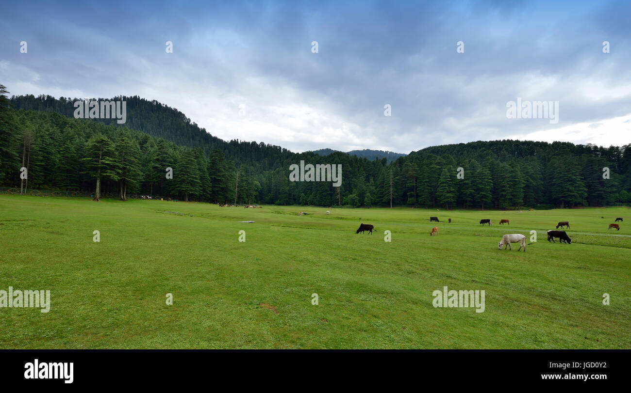 Vista di Khajjiar Hill Station vicino a Dalhousie Foto Stock