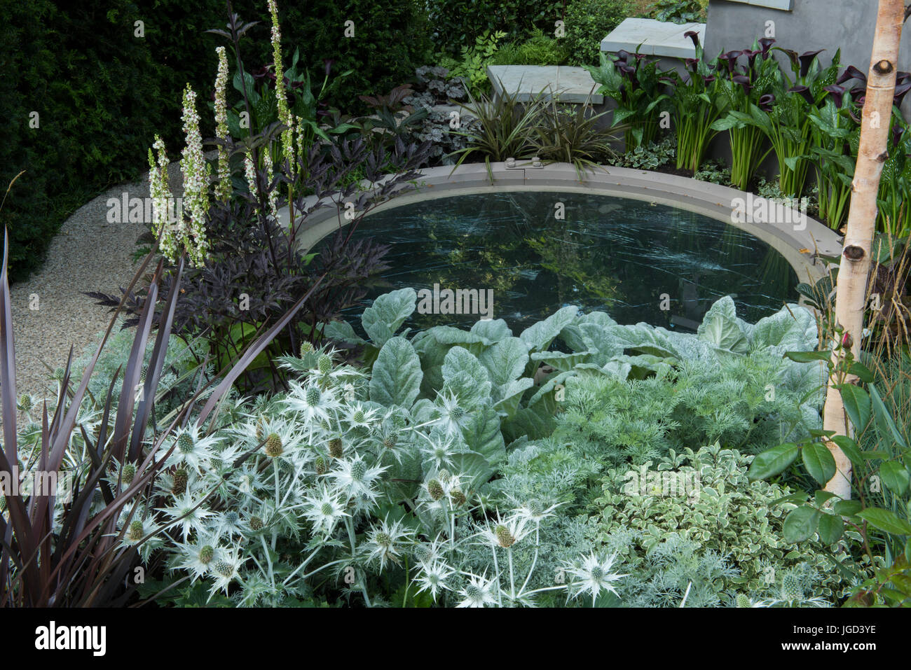 Sul bordo: il Centro per la salute mentale giardino alla RHS Hampton Court Palace Flower Show, luglio 2017, Est Molesley, Surrey, Regno Unito Foto Stock