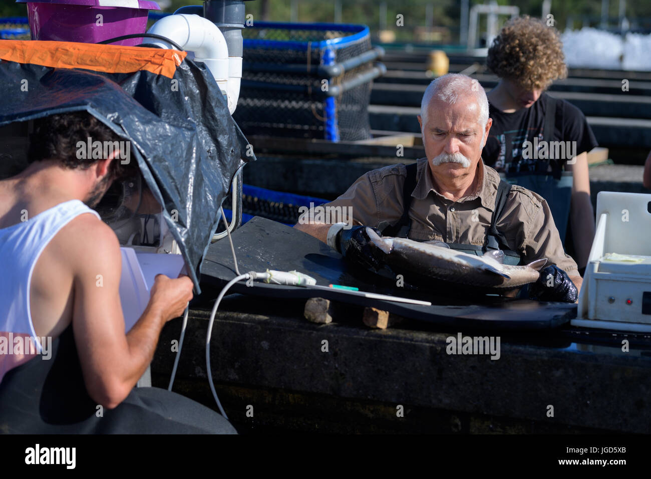 Industria del metallo lavoratori Foto Stock