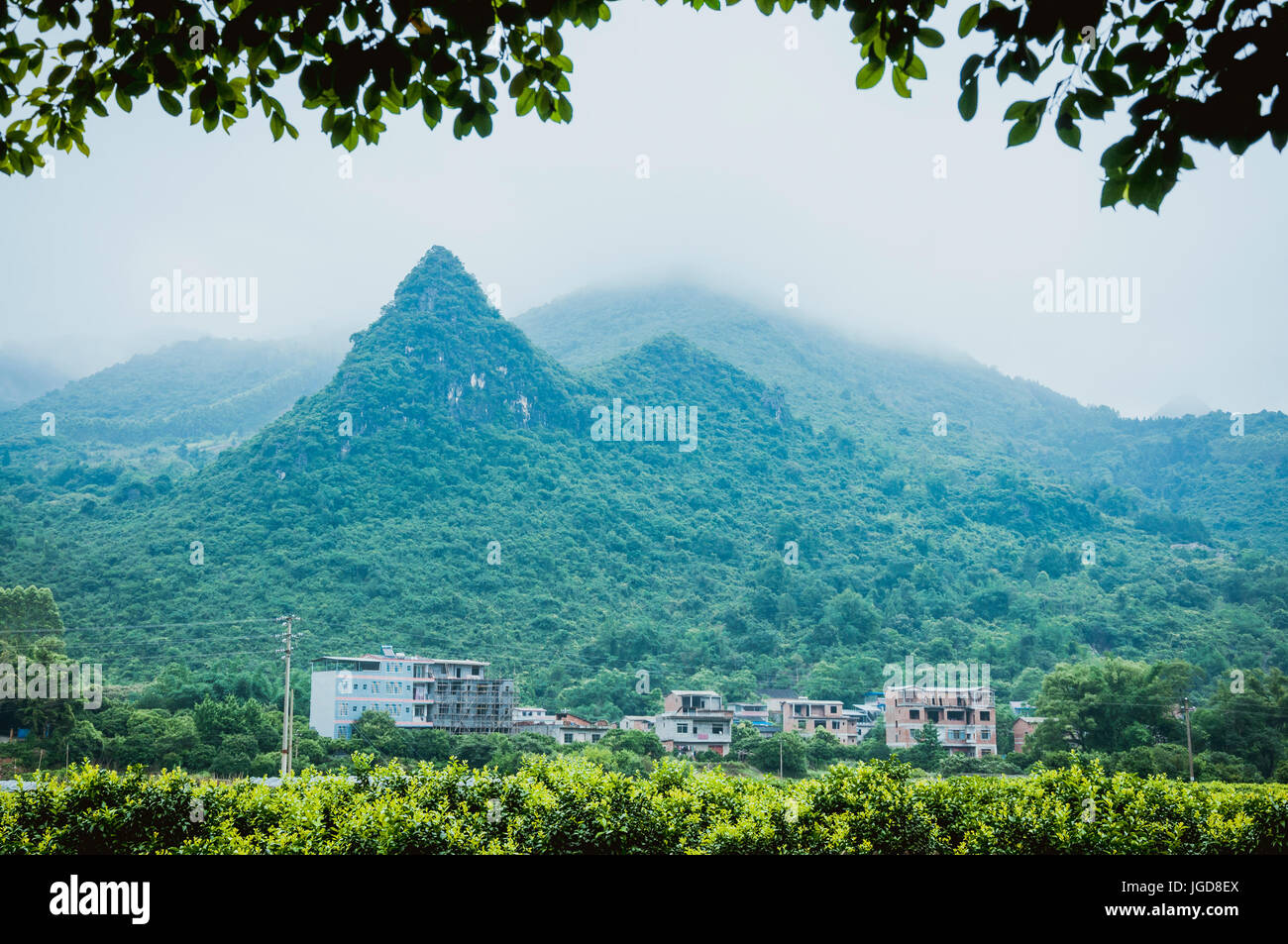 Uno scenario paesaggistico in primavera Foto Stock