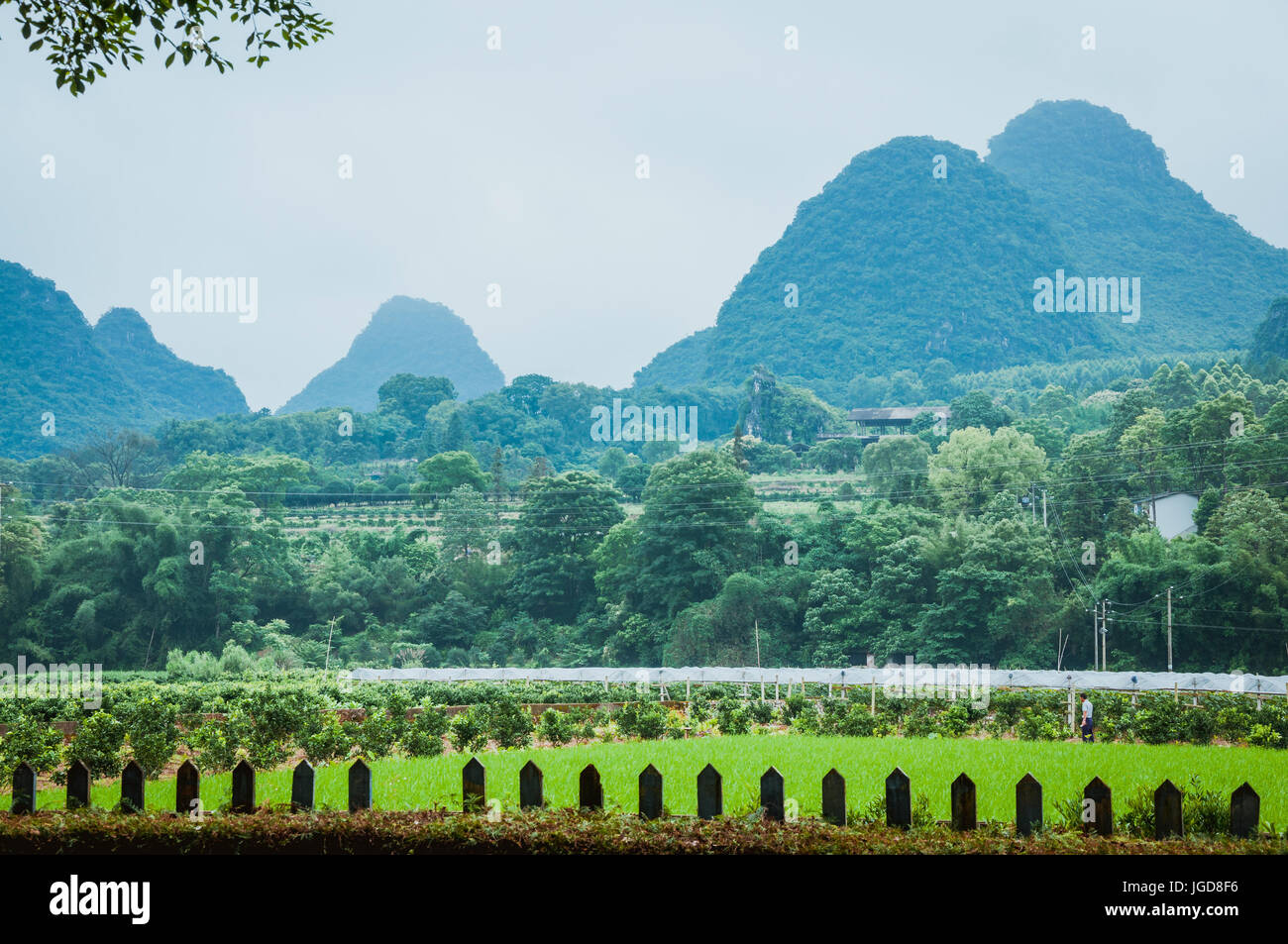 Uno scenario paesaggistico in primavera Foto Stock