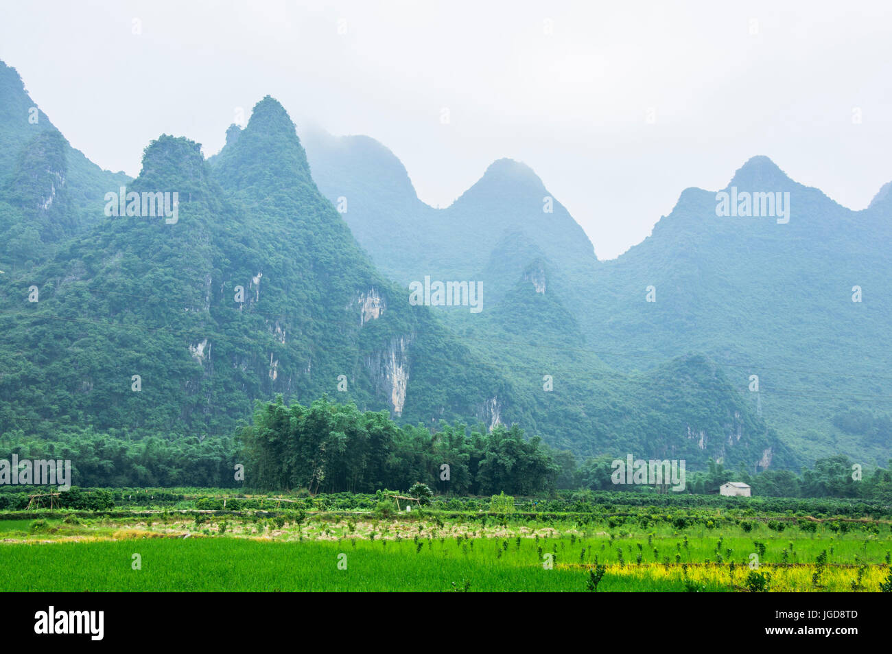 Uno scenario paesaggistico in primavera Foto Stock