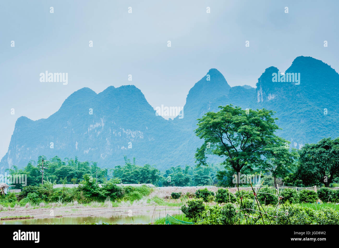 Uno scenario paesaggistico in primavera Foto Stock