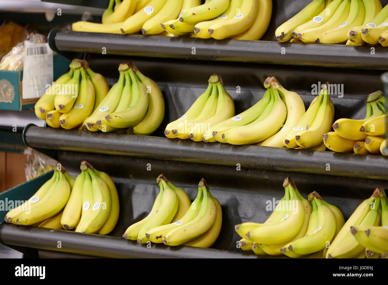 Banane acerbe su scaffali in vendita il supermercato Tesco Foto Stock