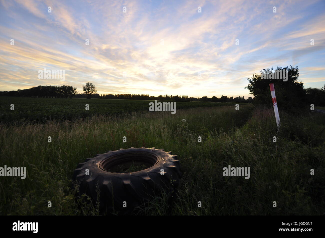 Oggetto di dumping il pneumatico del trattore accanto lane near Canewdon Essex, Regno Unito Foto Stock