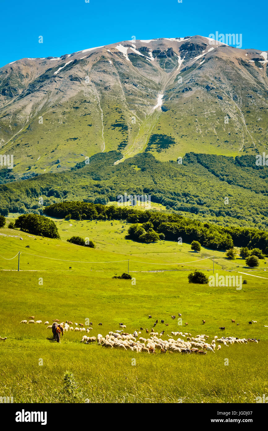 Il verde dei prati e il gregge di pecore sulla Majella Mountain National Park, Abruzzo, Italia. Foto Stock
