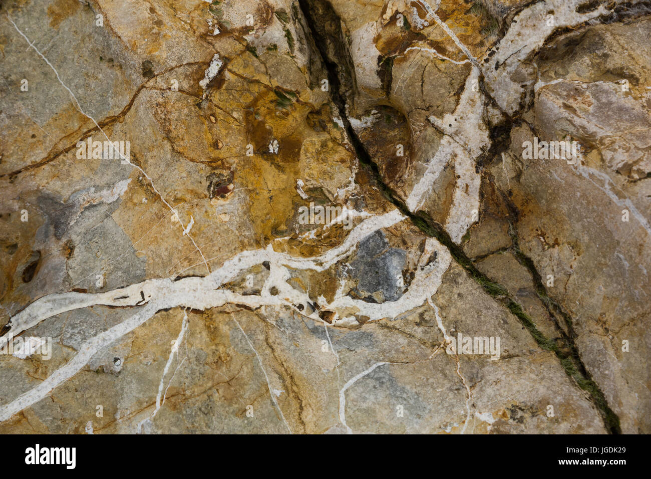 Close up incrinato e modellate rocce di pietra sulla linea del litorale della spiaggia Eype, Symmondsbury, vicino a Bridport, Dorset, Regno Unito. Foto Stock