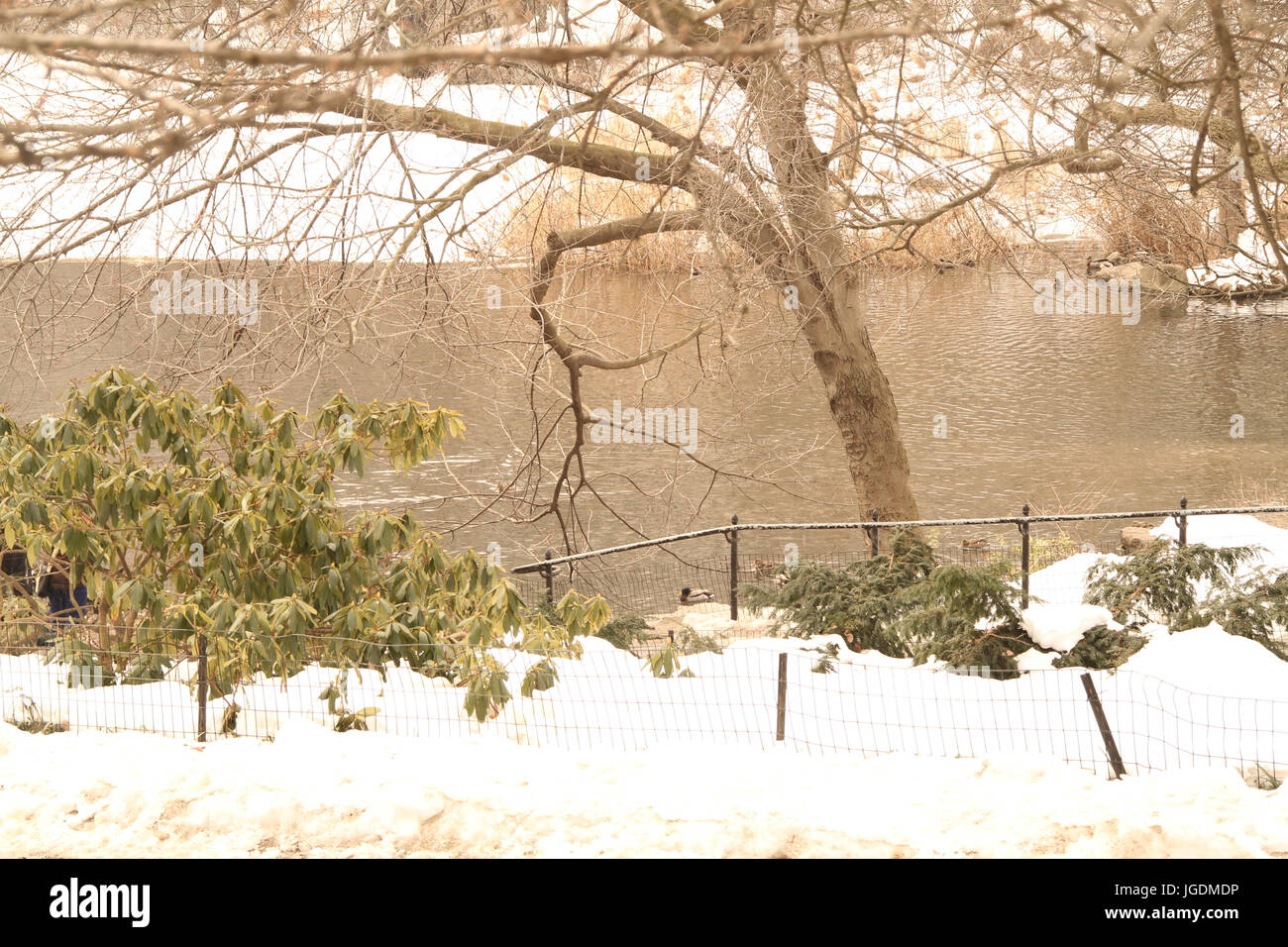 Il Central Park di New York, Stati Uniti Foto Stock