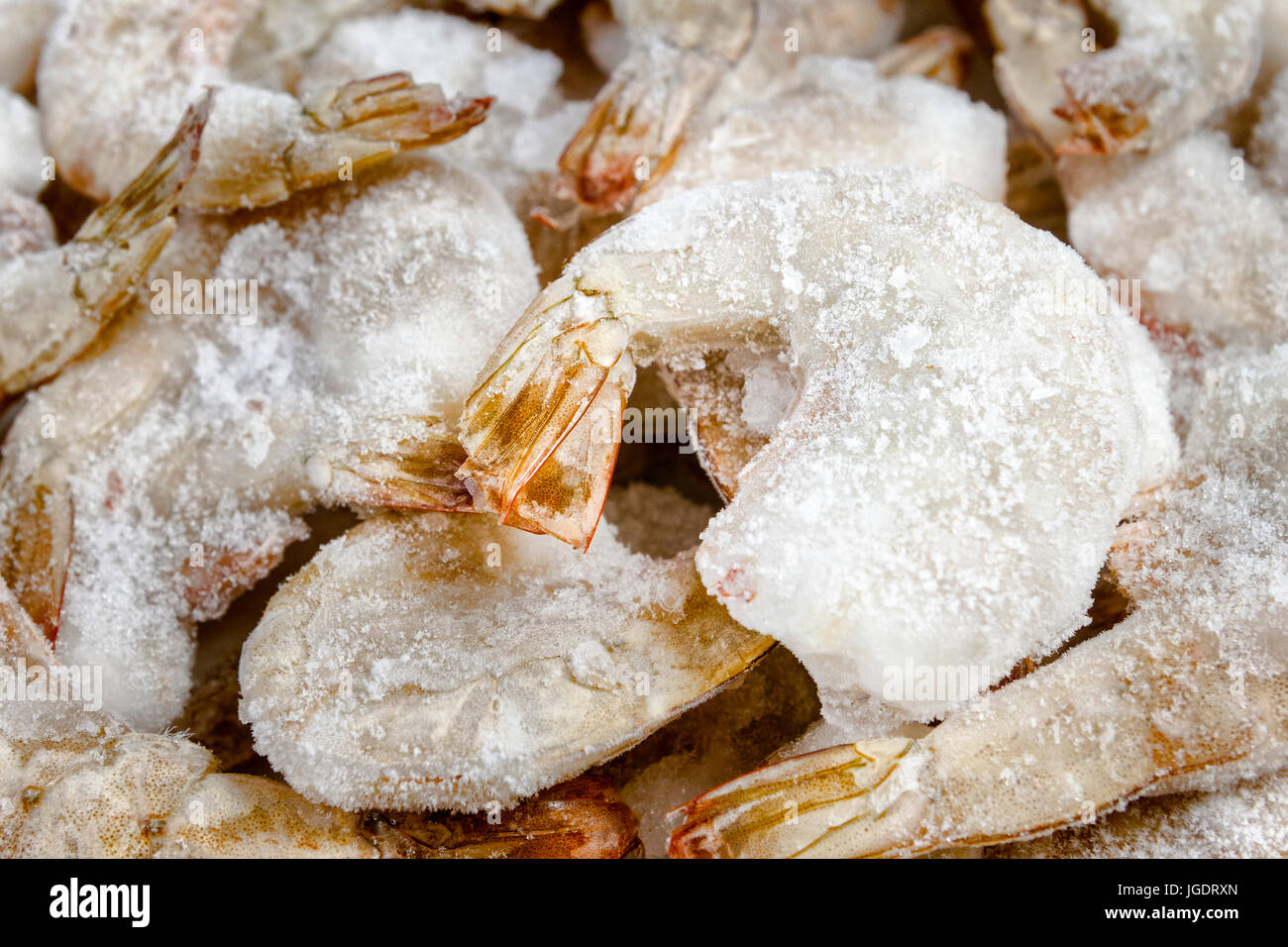 Surgelati gamberi crudo sfondo Foto Stock