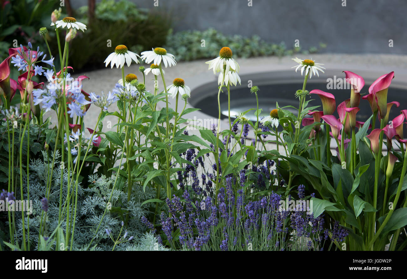 Sul bordo: il Centro per la salute mentale giardino alla RHS Hampton Court Palace Flower Show, luglio 2017, Est Molesley, Surrey, Regno Unito Foto Stock