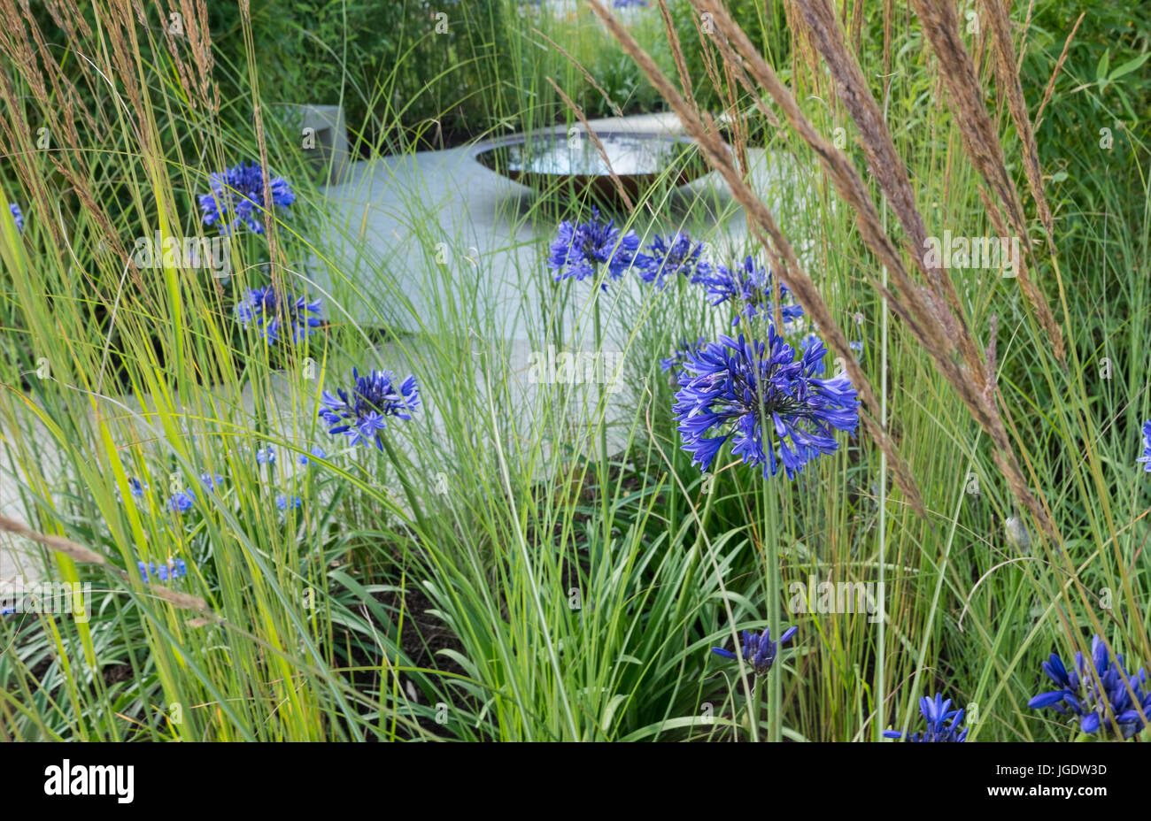 La perenne Santuario giardino progettato da Tom Massey alla RHS Hampton Court Palace Flower Show, luglio 2017, Est Molesley, Surrey, Regno Unito Foto Stock