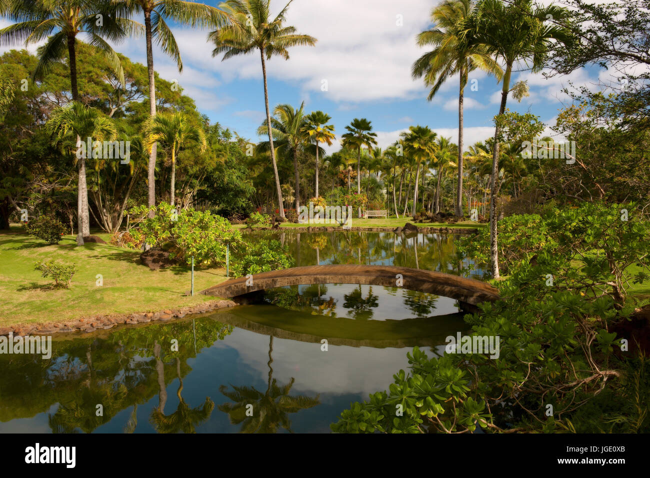 Mattina calma in Na Aina Kai Giardino Botanico alle Hawaii dell Isola di Kauai. Foto Stock