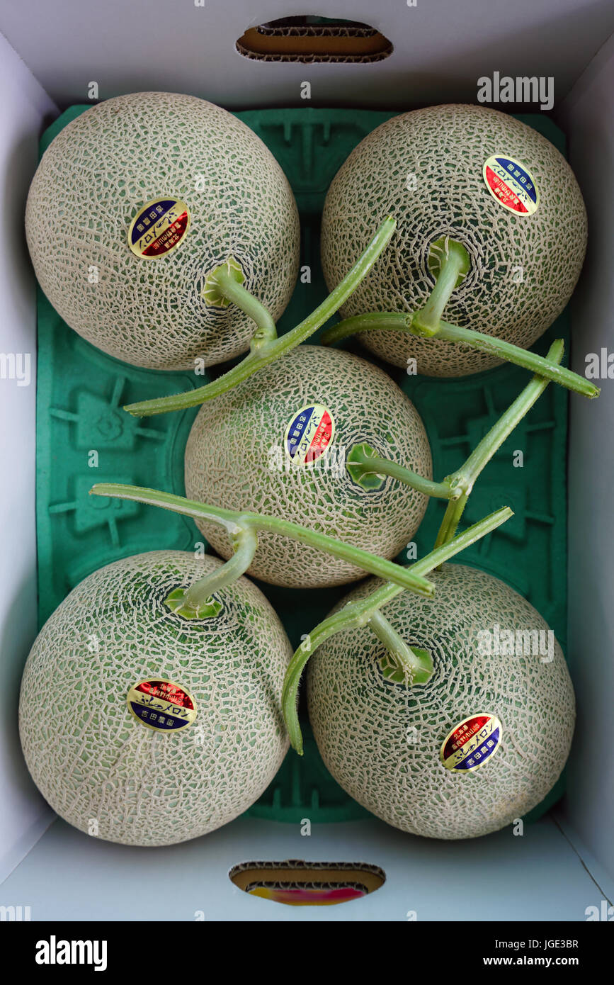 Costoso molto apprezzati i meloni di perfezione delle forme sono prodotte sull'isola di Hokkaido in Giappone che ha un molto protetta agricoltura Foto Stock
