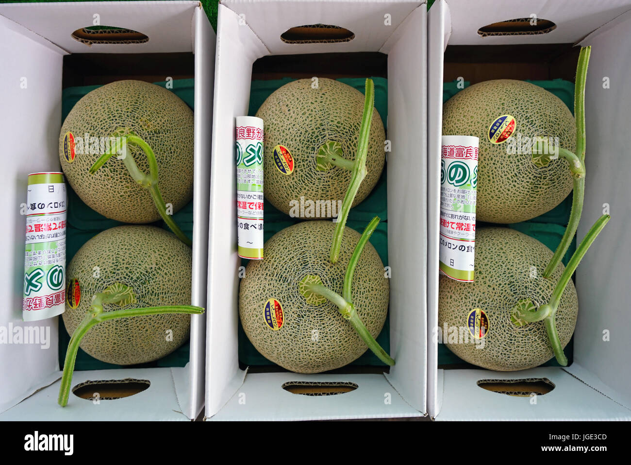 Costoso molto apprezzati i meloni di perfezione delle forme sono prodotte sull'isola di Hokkaido in Giappone che ha un molto protetta agricoltura Foto Stock