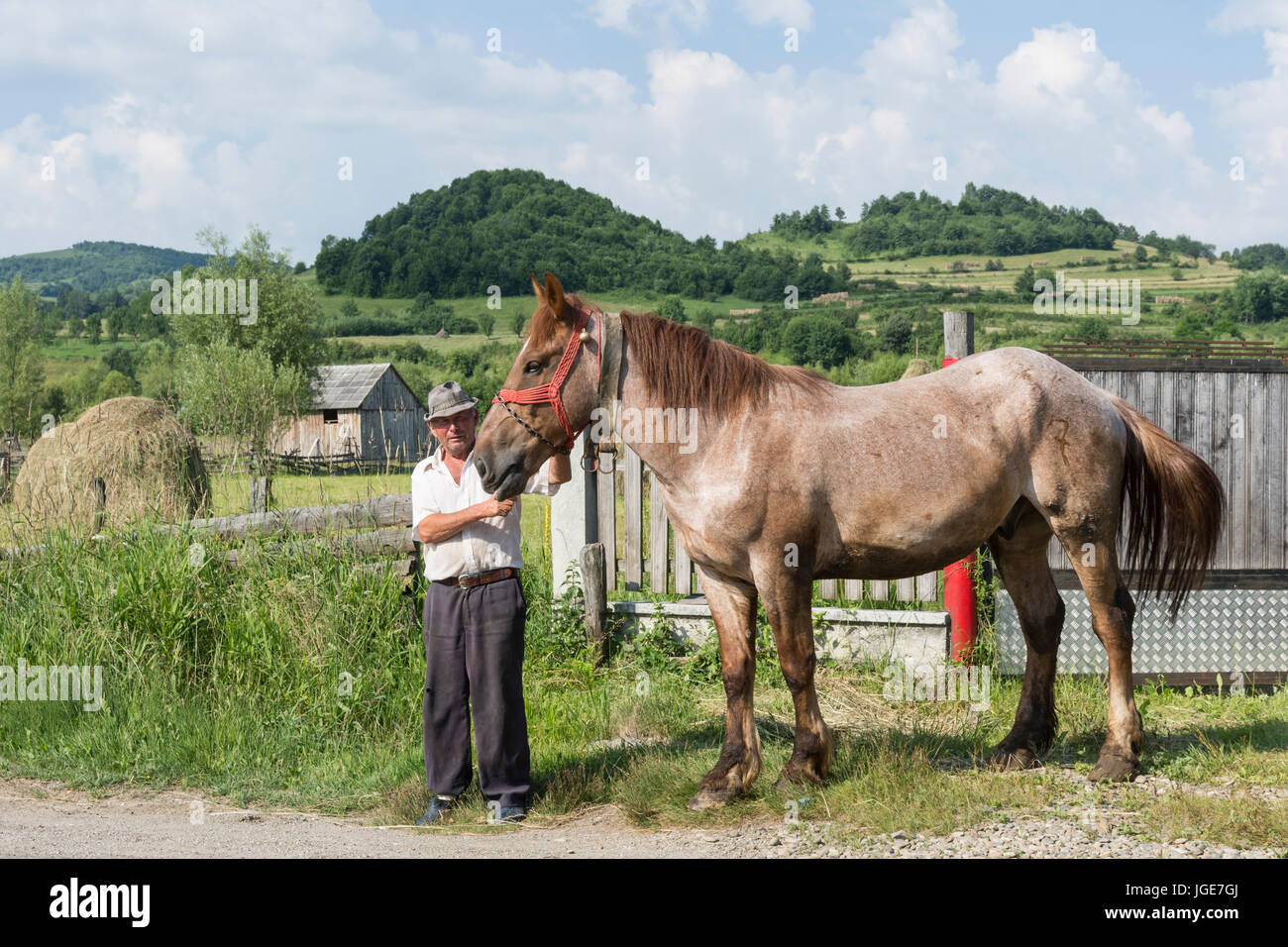 Un uomo con un cavallo sulla strada nella regione di Maramures, Romania Foto Stock