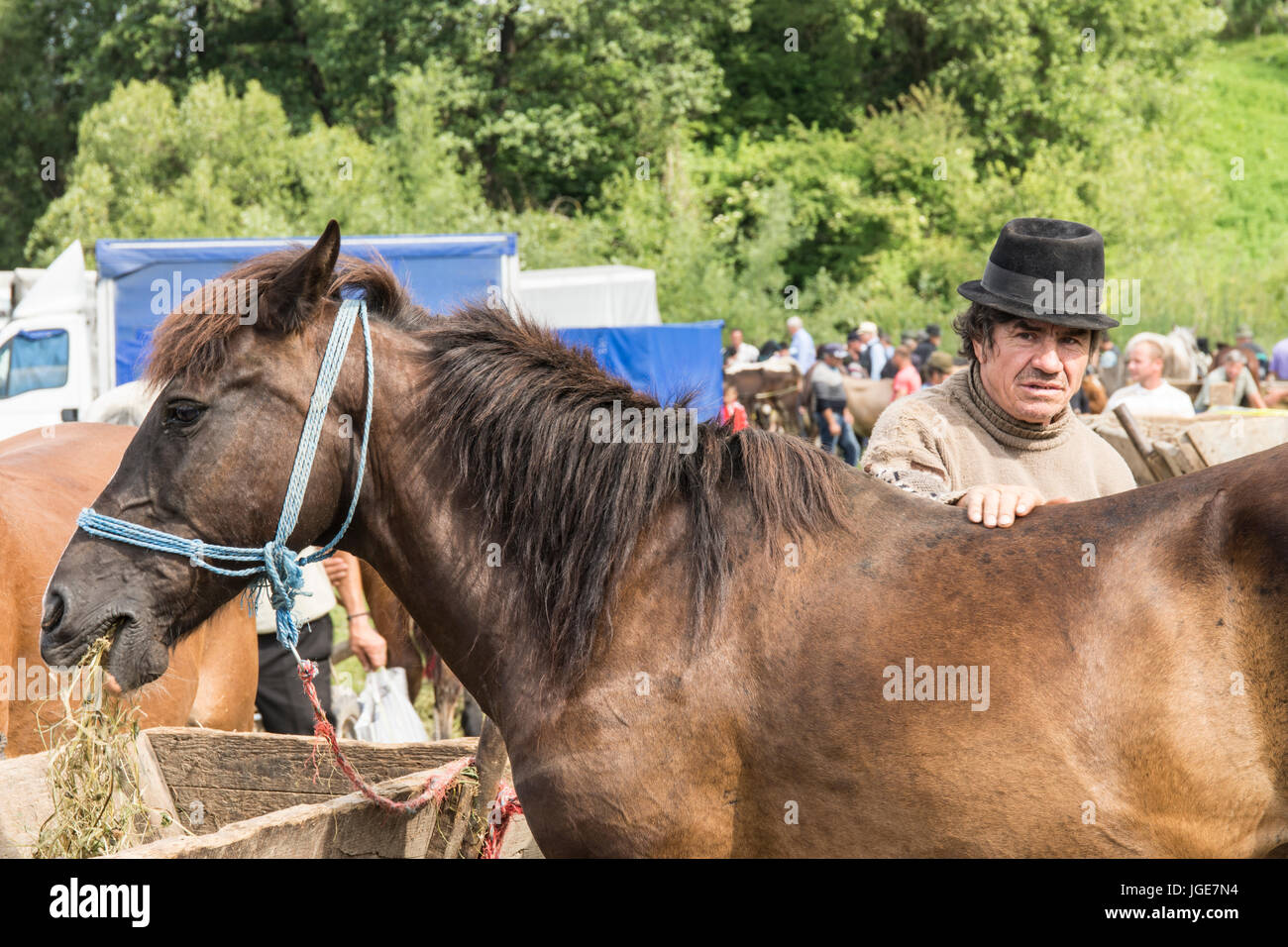 L'uomo e il cavallo Foto Stock