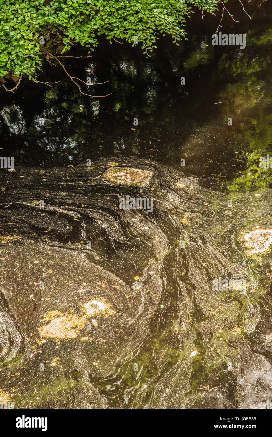 Bad Derbisshire acqua Foto Stock