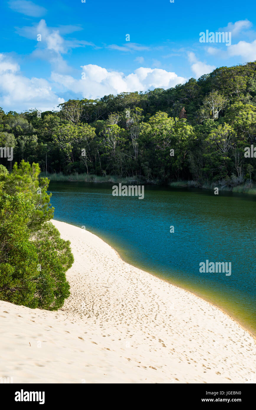 Il lago Wabby, l'Isola di Fraser, Queensland, Australia. Foto Stock