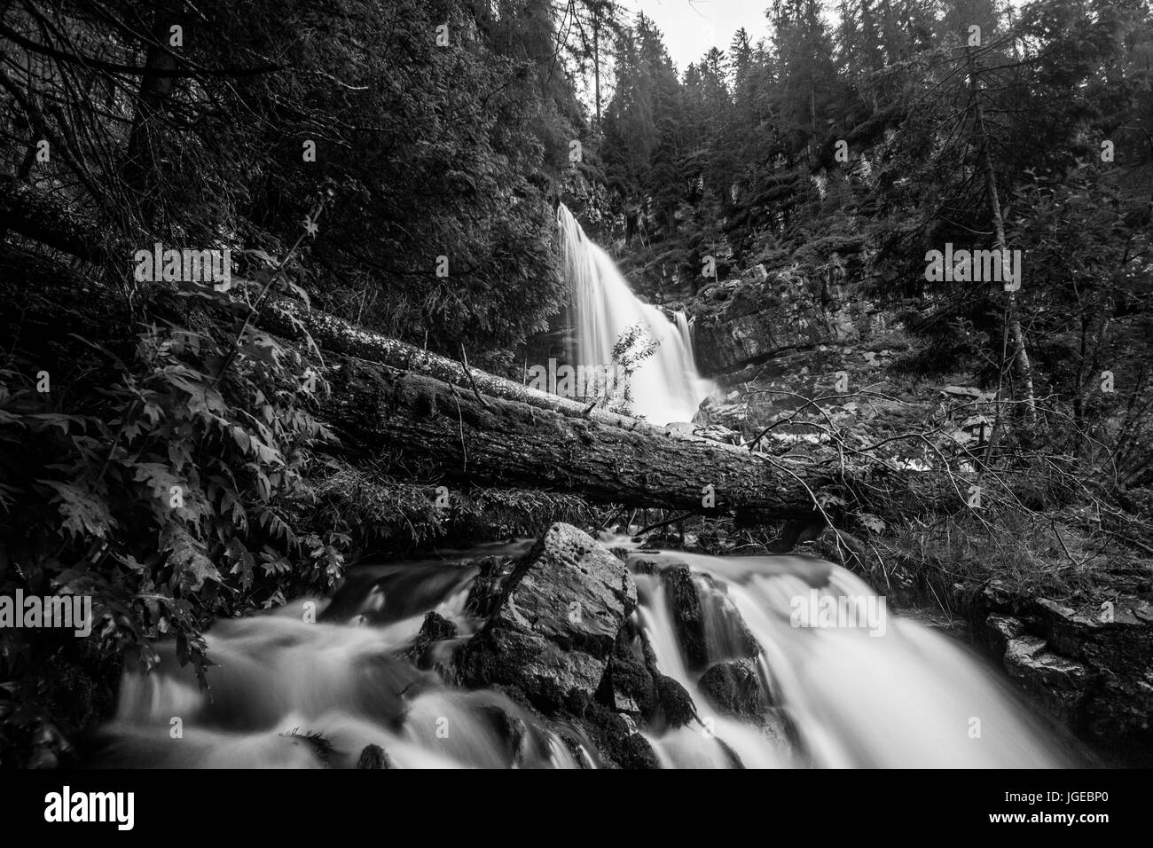 Cascate in Trentino, Italia Foto Stock