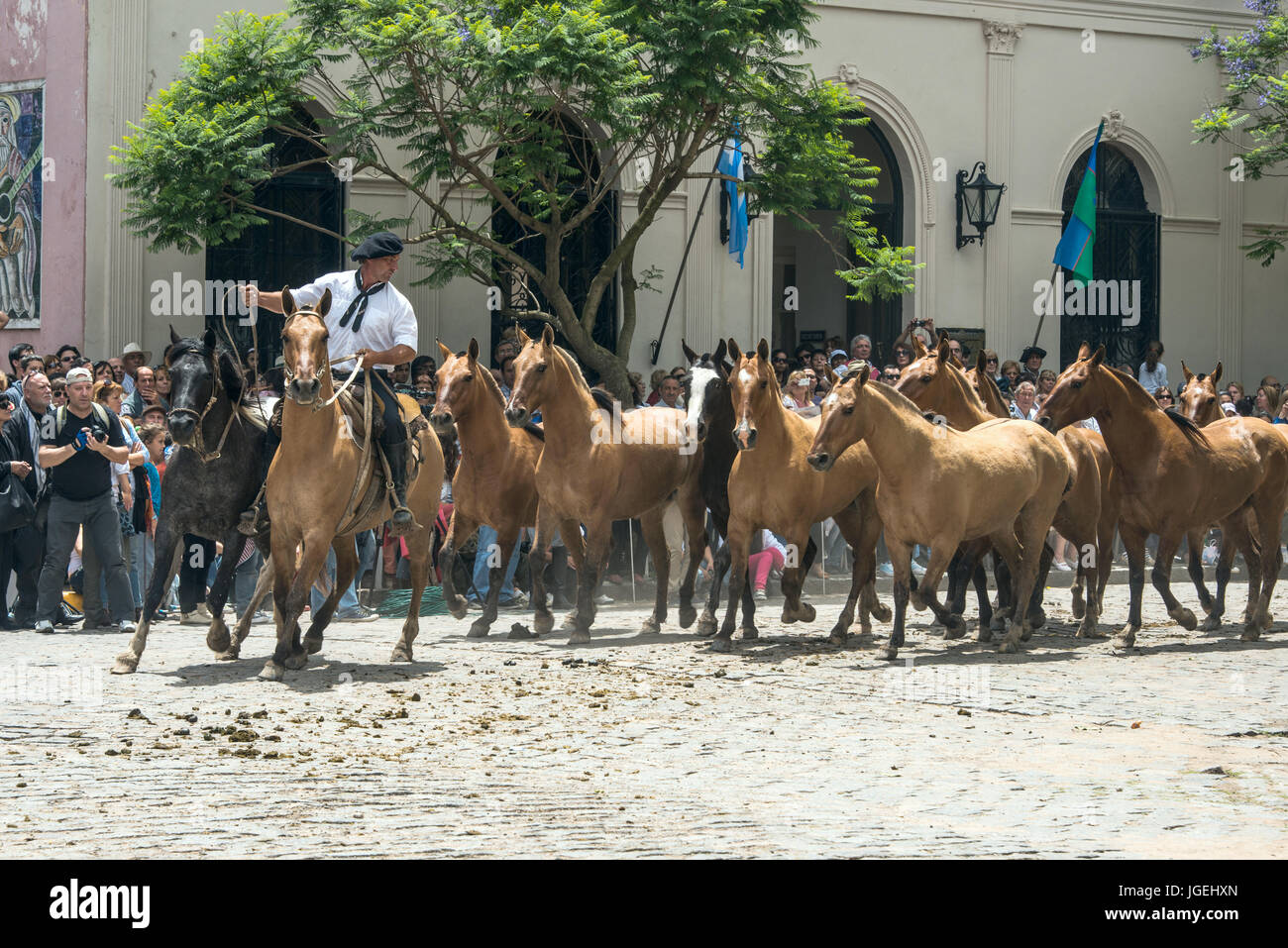 San Antonio de Areco, provincia di Buenos Aires, Argentina - 11 Novembre 2012: Gaucho (Sud americano, cowboy è residente o Pampas del Sud America) Foto Stock