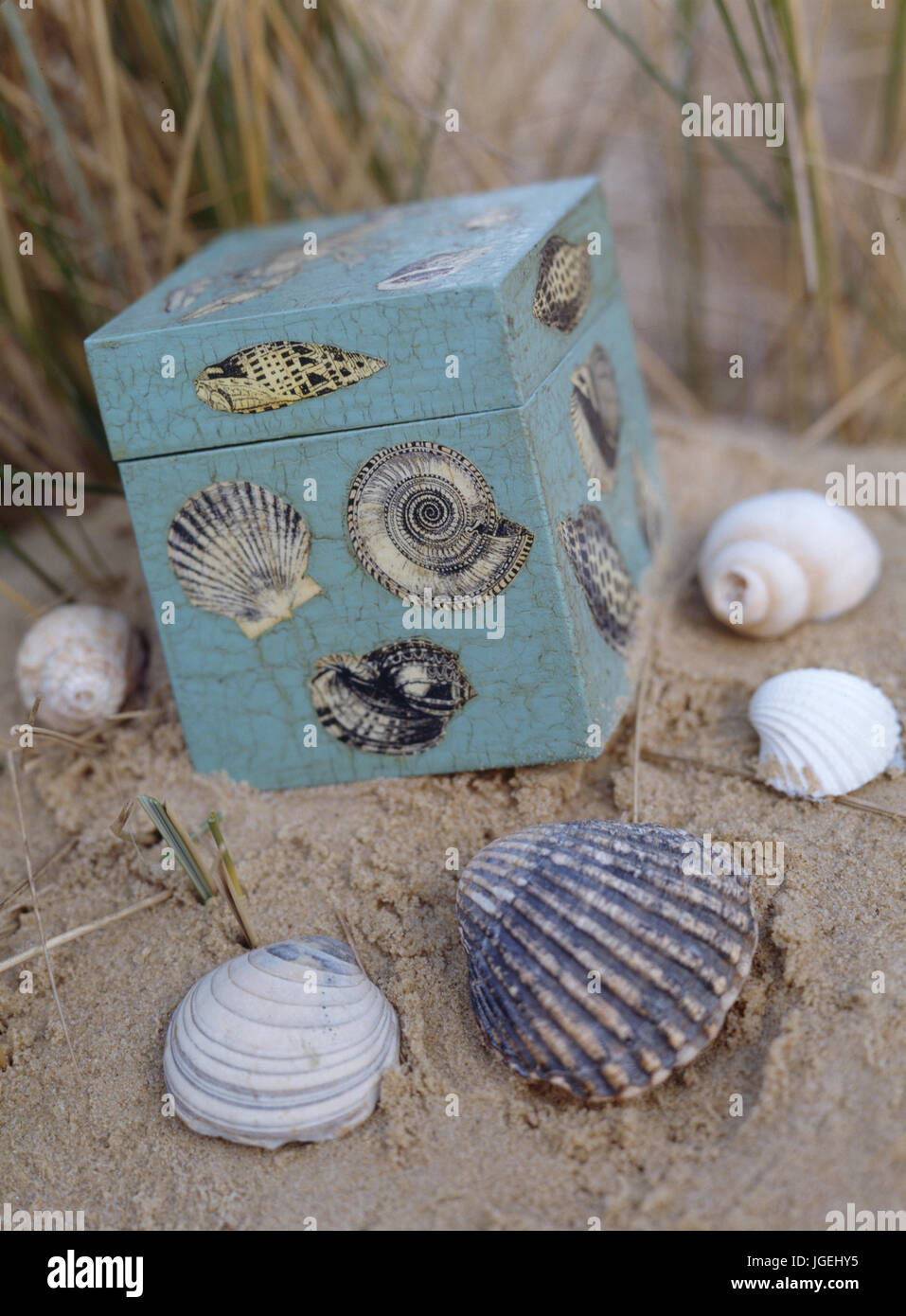 Passo x passo del progetto CRAFT: Seashell decoupage box. Progetto finito Foto Stock