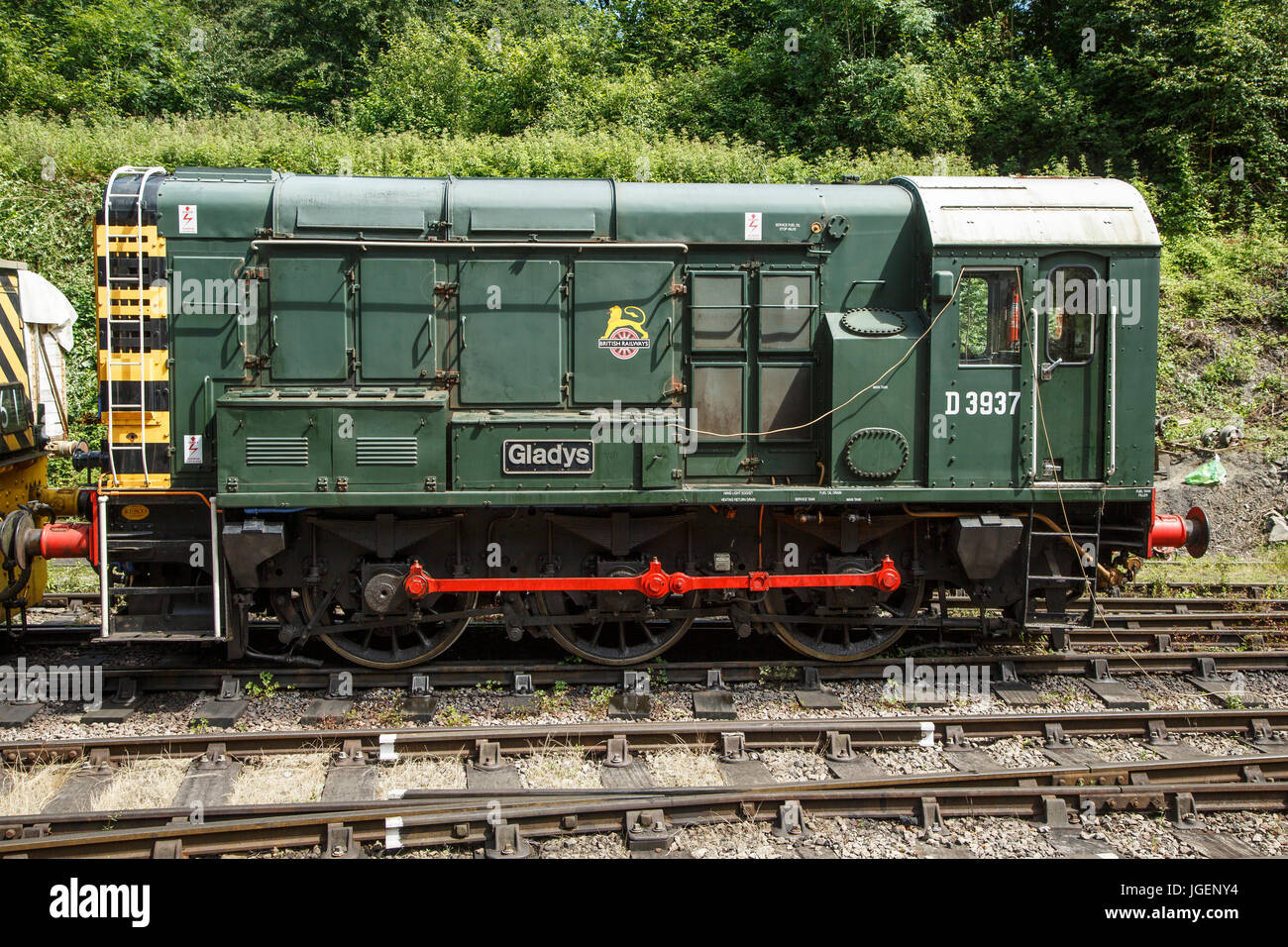 BR 0-6-0 Classe 08, n. 08769 (D3937) "Gladys', alla Foresta di Dean ferroviarie, Foresta di Dean, Gloucestershire Foto Stock