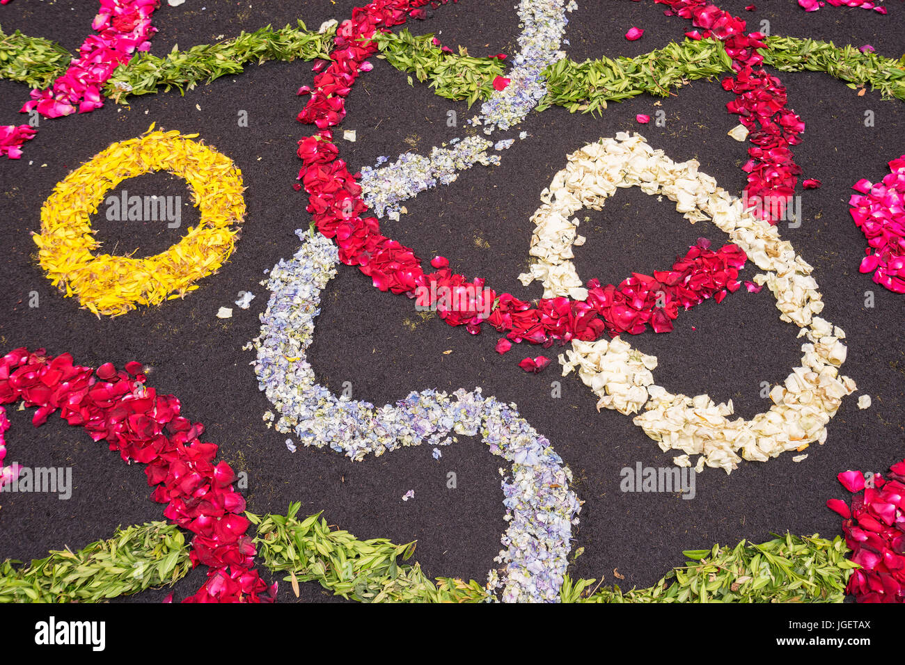Petali di fiori sullo sfondo Foto Stock
