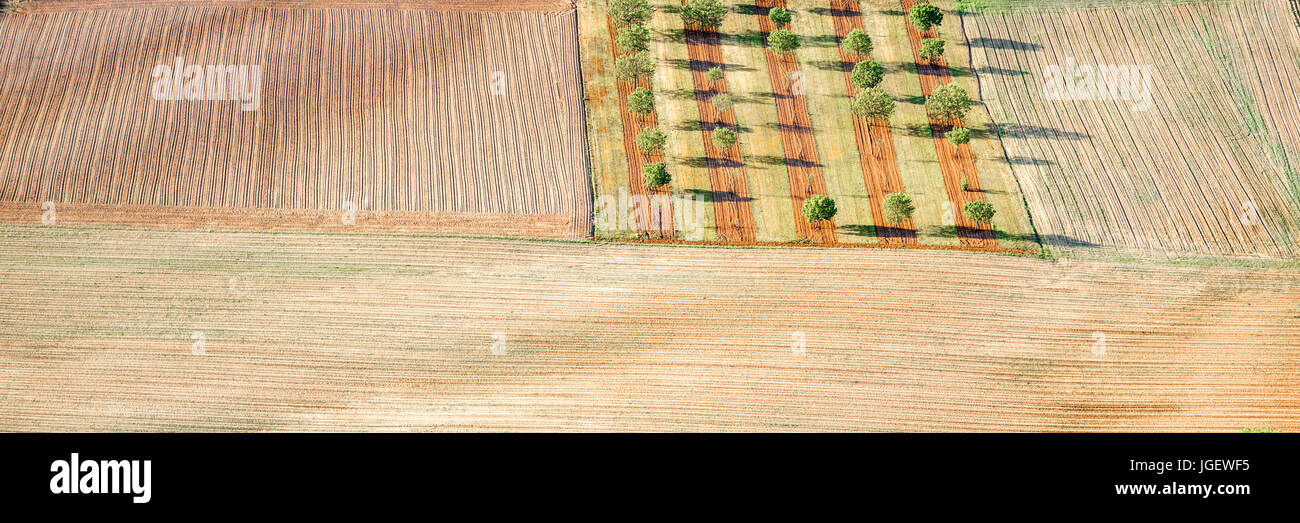 Vista sul campo in Francia Foto Stock