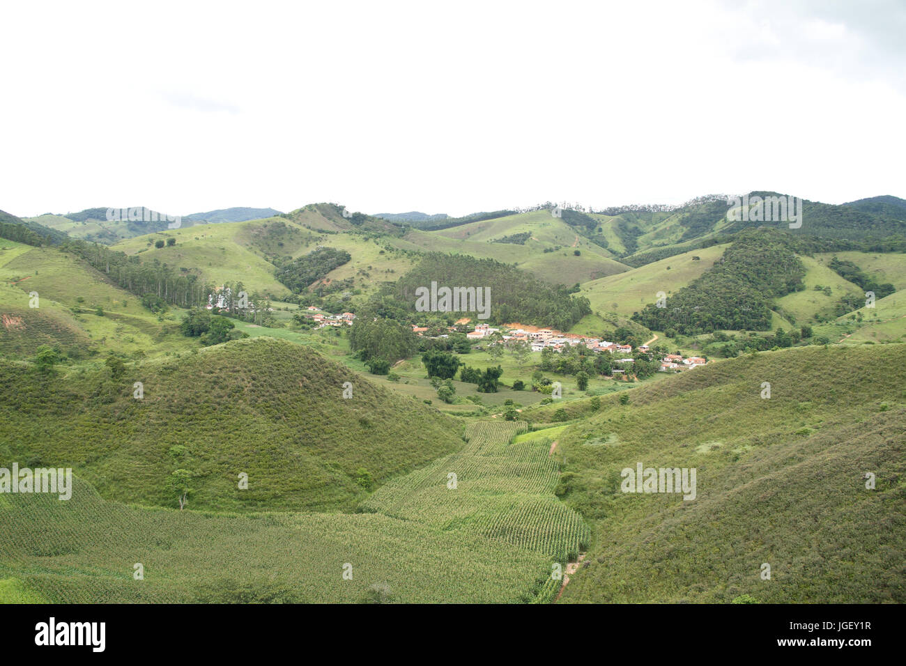 Semina di mais, città, 2016 Merces, Minas Gerais, Brasile. Foto Stock