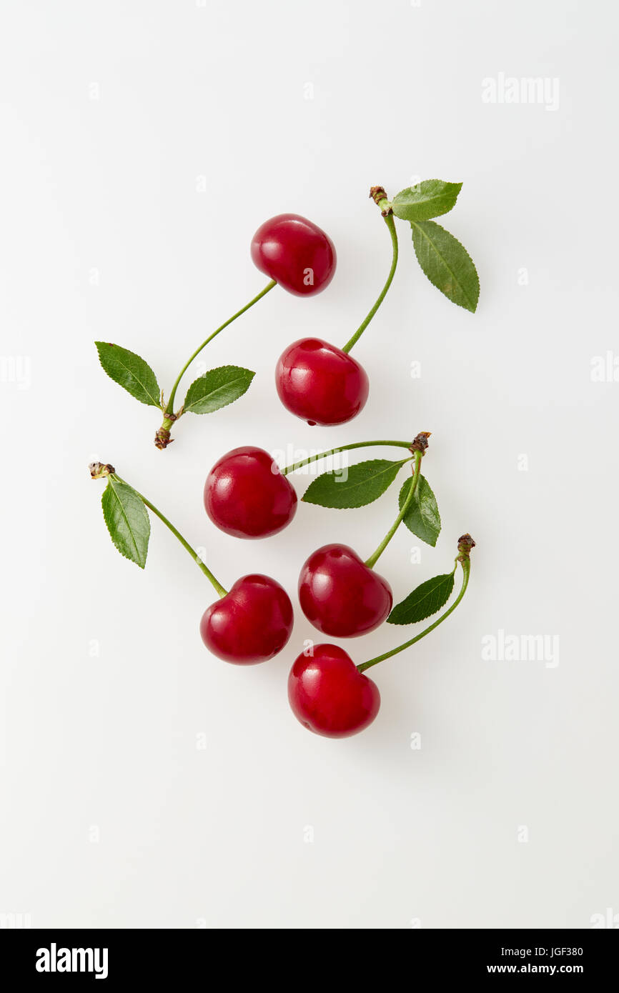 Le ciliege acide su sfondo bianco. Fresche ciliege rosse con gambi e foglie. Organici di ciliege acide, mature. Foto Stock