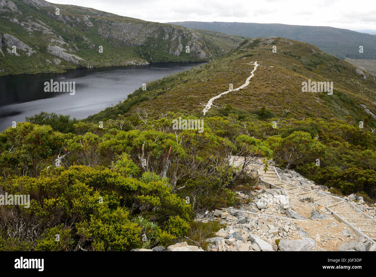 Il cratere del lago da Marions Lookout, Cradle Mountain-Lake St Clair National Park, la Tasmania, Australia Foto Stock