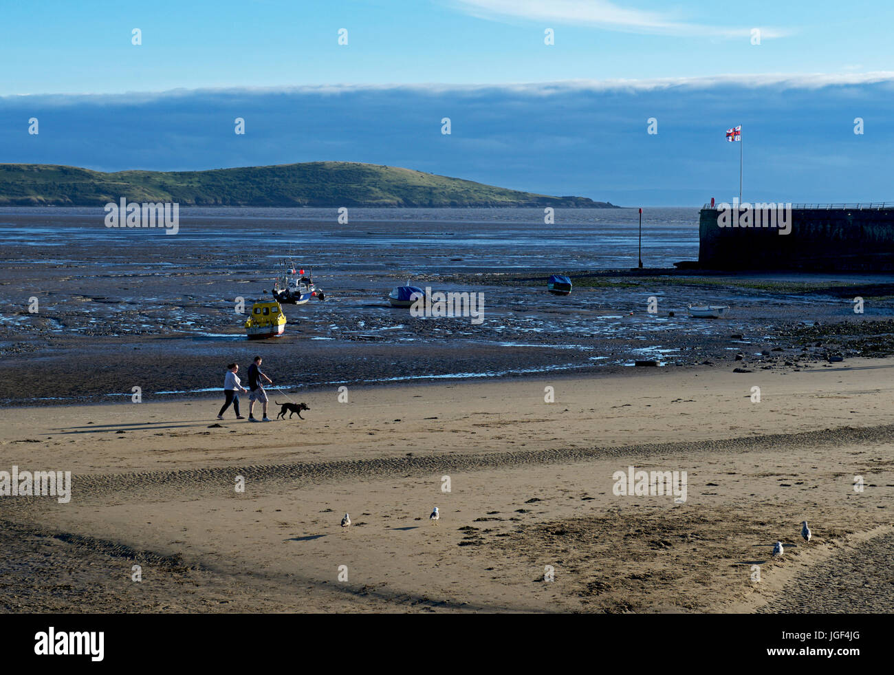 Passeggiate con il cane sulla spiaggia di Weston-super-Mare, Somerset, Inghilterra, Regno Unito Foto Stock