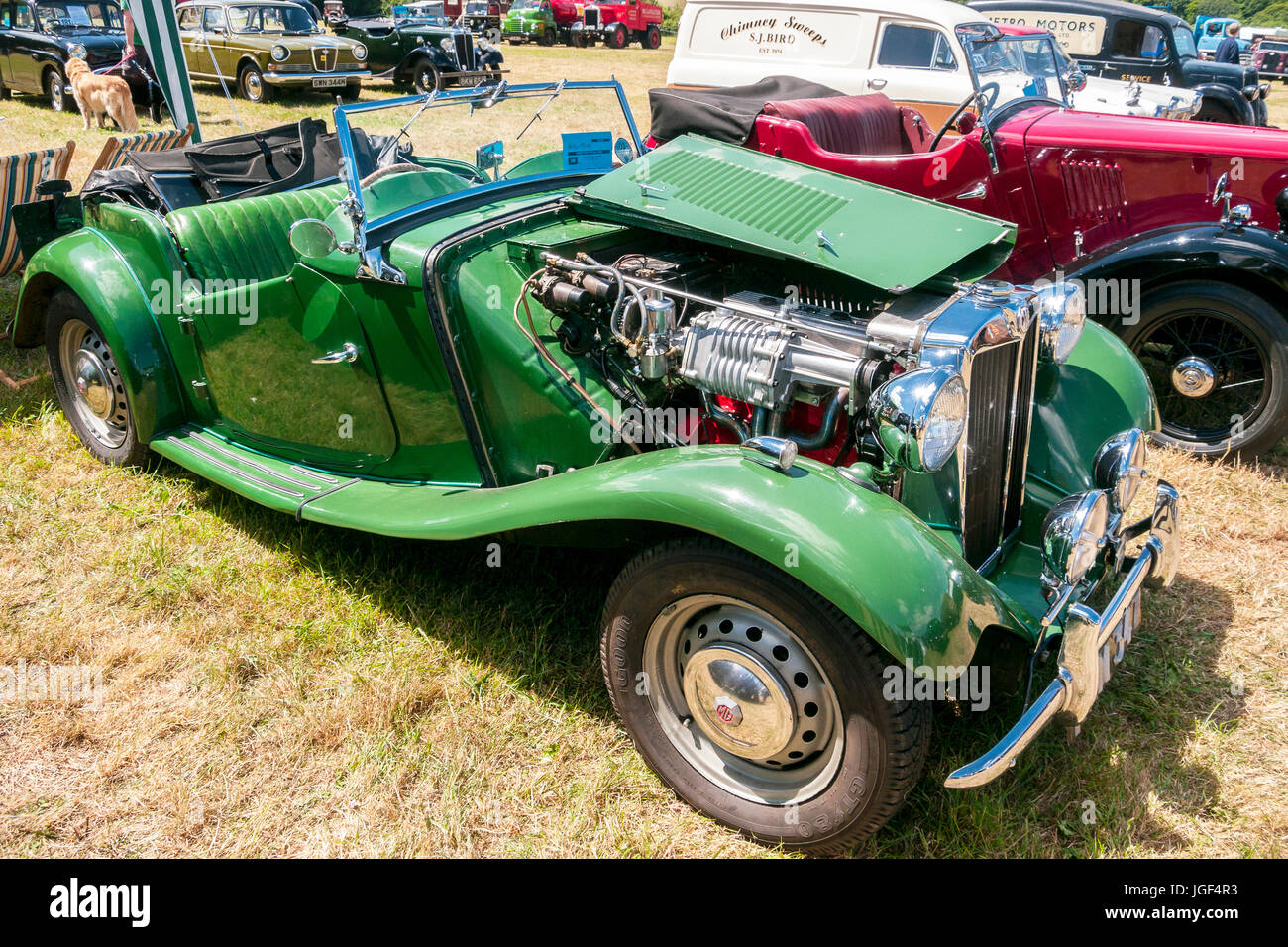 Classic MG TD auto, 1954 open top, in British Racing Green, al vapore Prestwood Rally Foto Stock