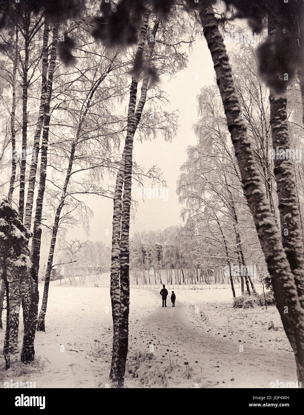 Carl Curman - Una passeggiata nel bosco invernale, Stoccolma, Svezia Foto Stock