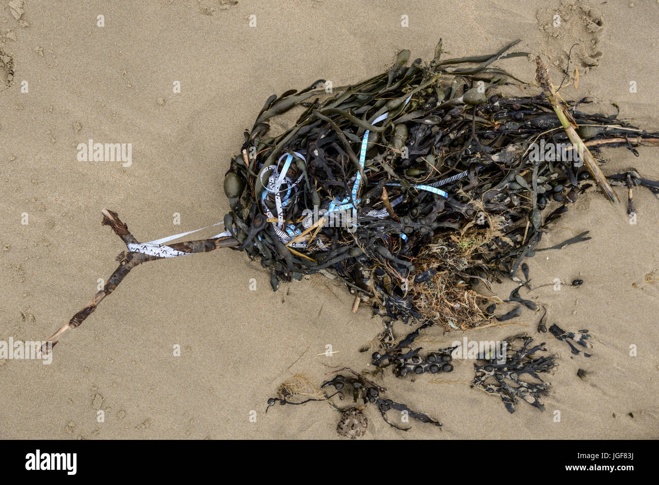 I detriti e i detriti lasciati sulla spiaggia di gallese a seguito di forti venti e condizioni climatiche severe. Regno Unito. Foto Stock