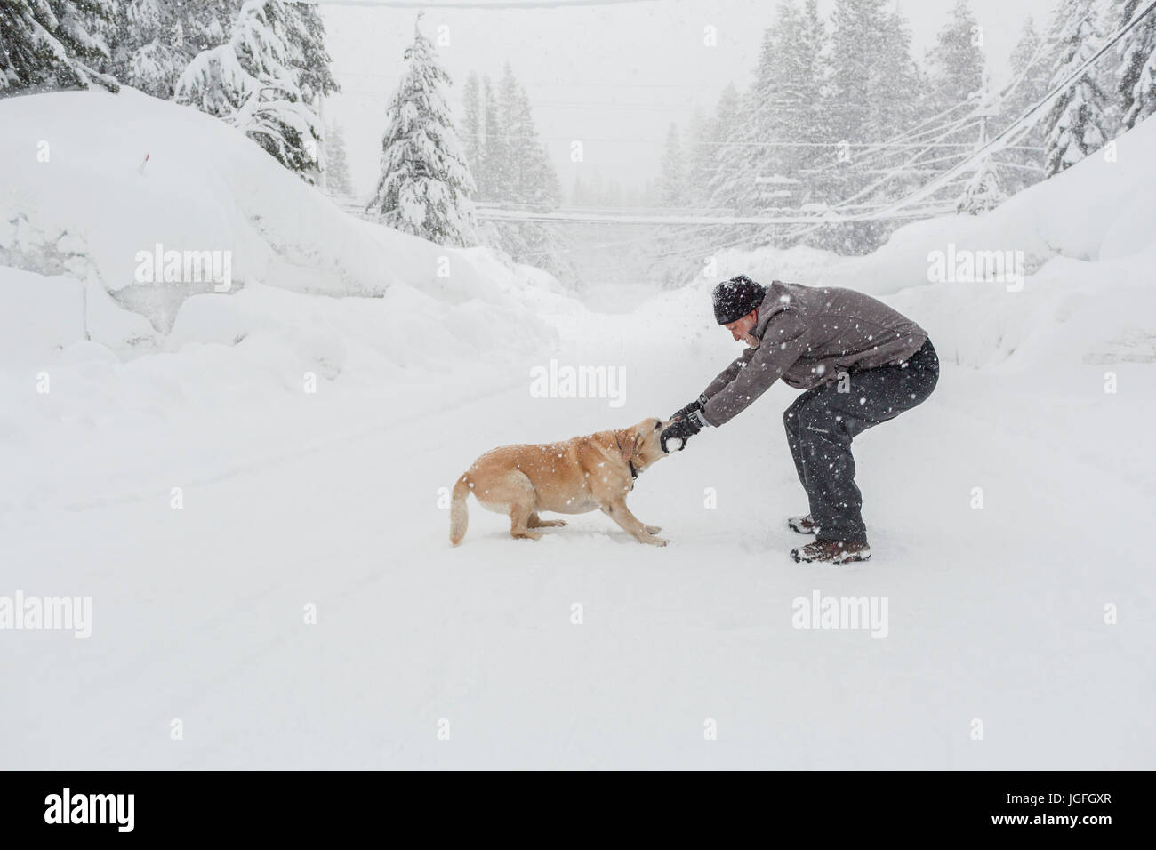 Uomo caucasico giocando Tug-of-War con il cane nella neve Foto Stock