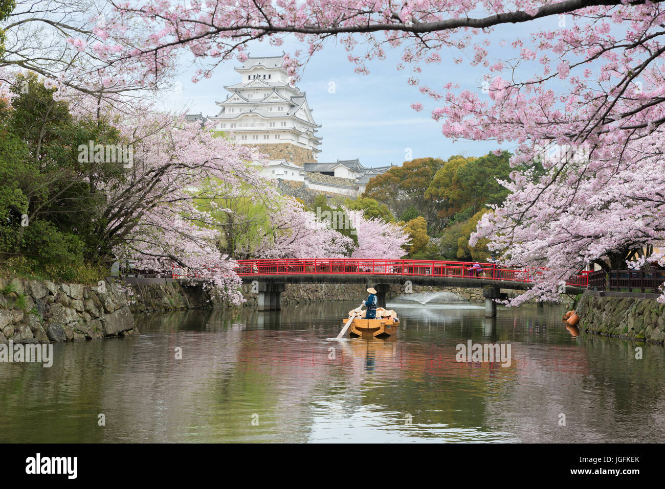 Il castello di Himeji con splendidi fiori di ciliegio in primavera, a Hyogo vicino a Osaka, Giappone. Il castello di Himeji è famoso fiore di ciliegio viewpoint in Osaka, Ja Foto Stock
