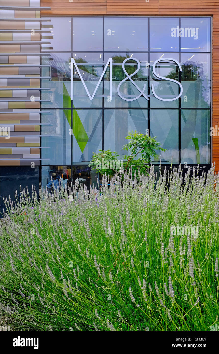 Marks & Spencer store, Norwich, Norfolk, Inghilterra Foto Stock