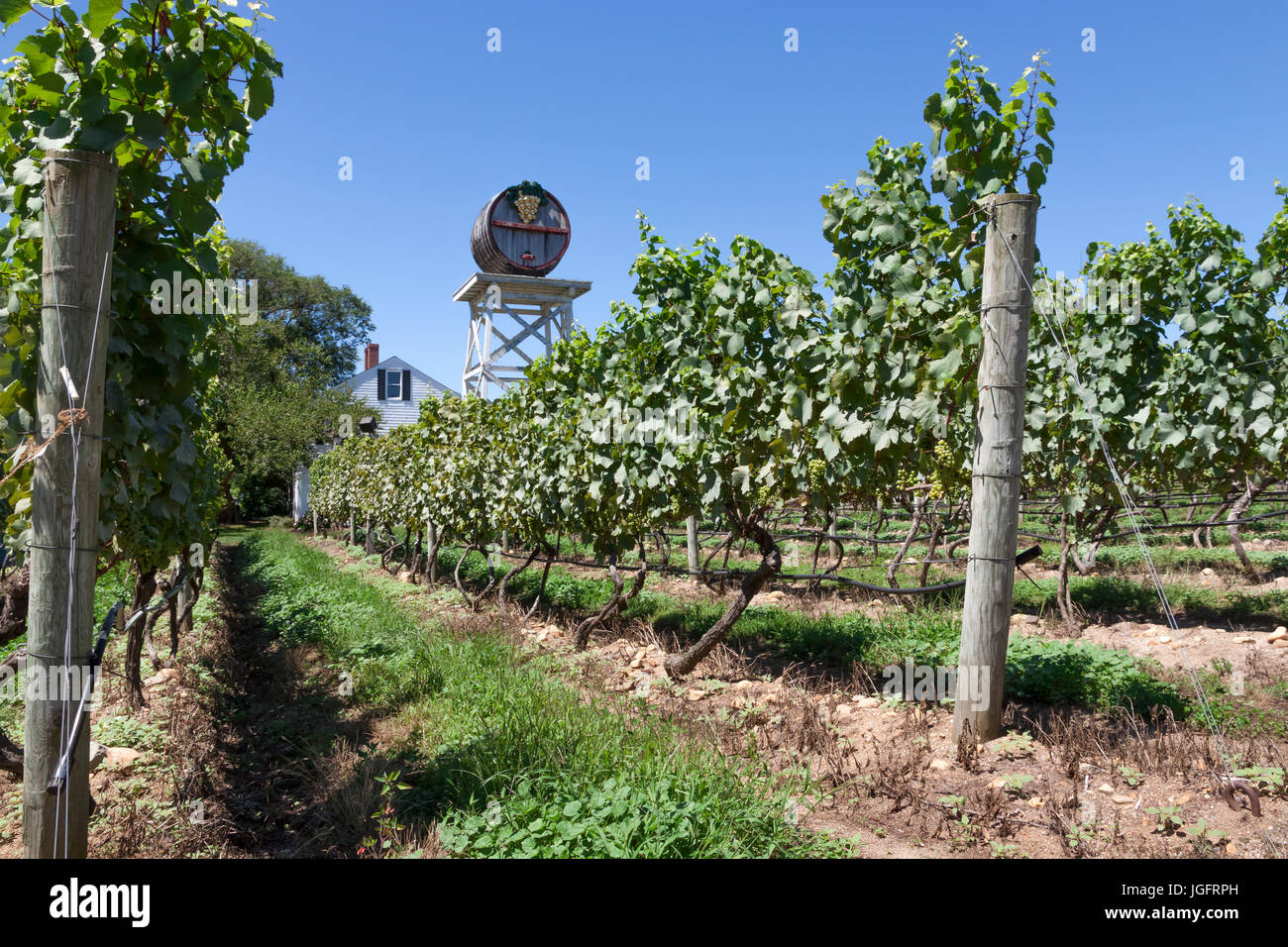 Truro vigneti di Cape Cod, Massachusetts, Stati Uniti. Foto Stock