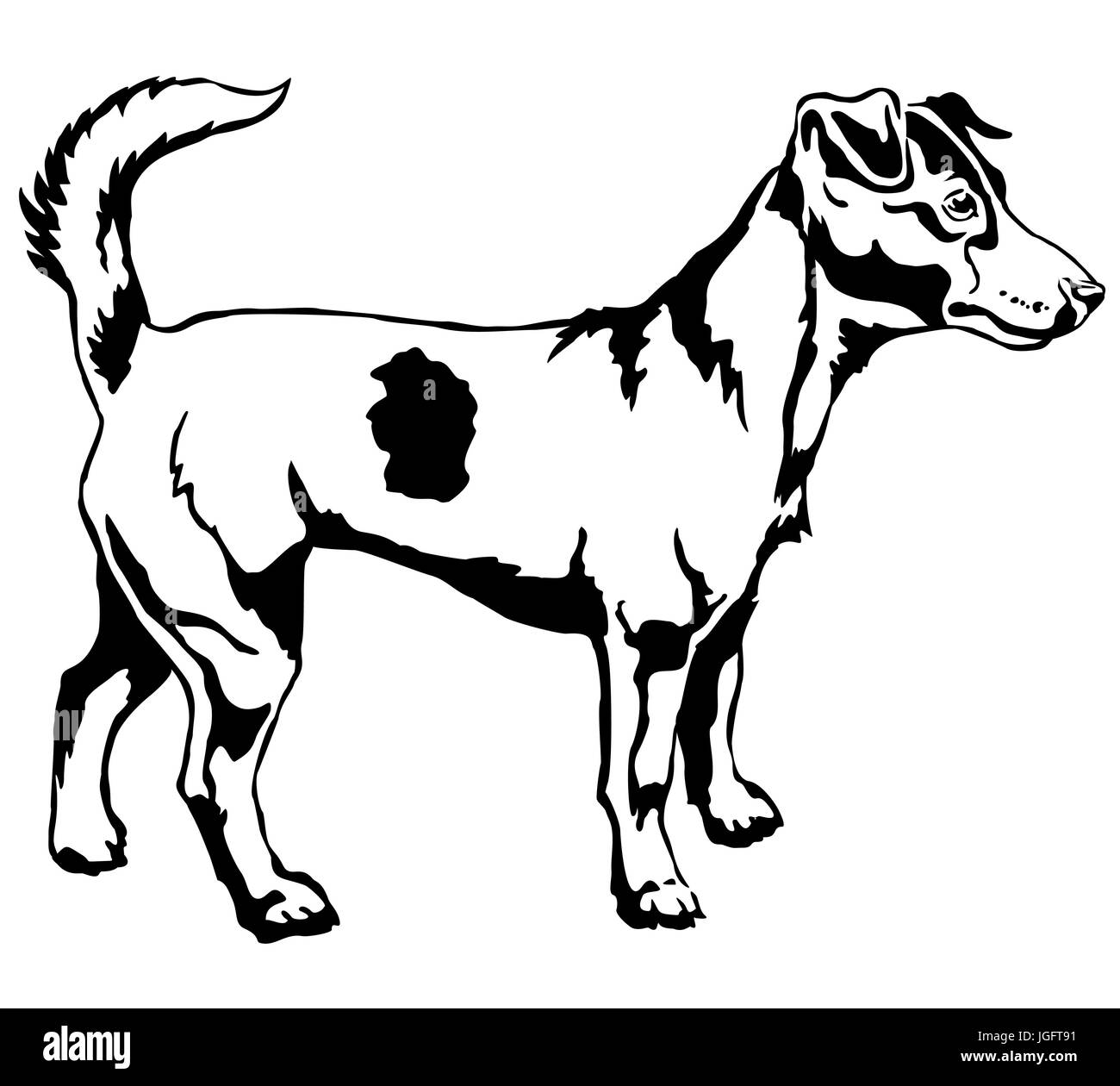 Ritratto decorativo di standing in profilo cane Jack Russell Terrier, vettore isolato illustrazione in colore nero su sfondo bianco Illustrazione Vettoriale