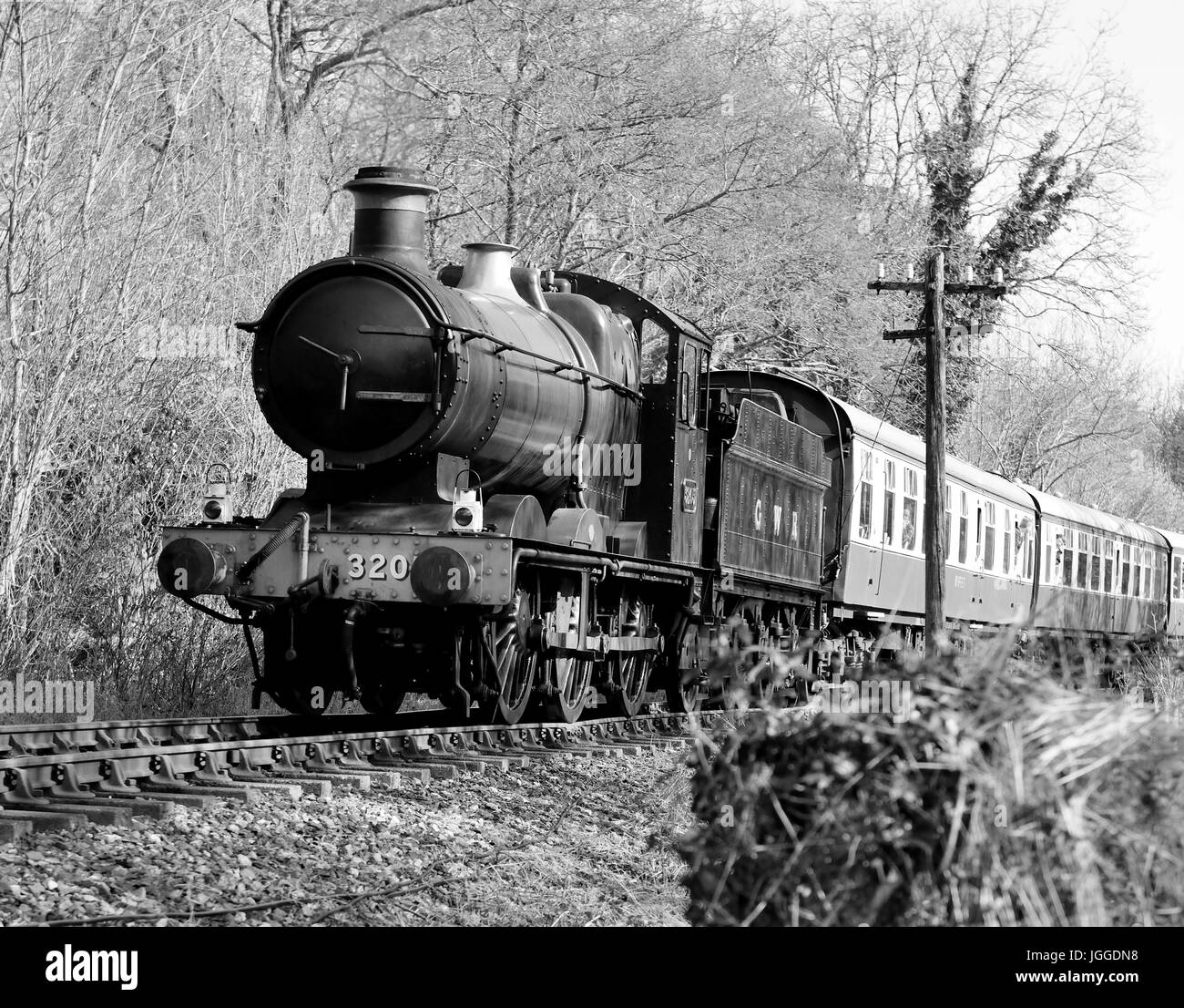 Treno a vapore sul South Devon Railway, avvicinando Staverton, trainati da GWR 2251 classe 0-6-0 n. 3205. Foto Stock