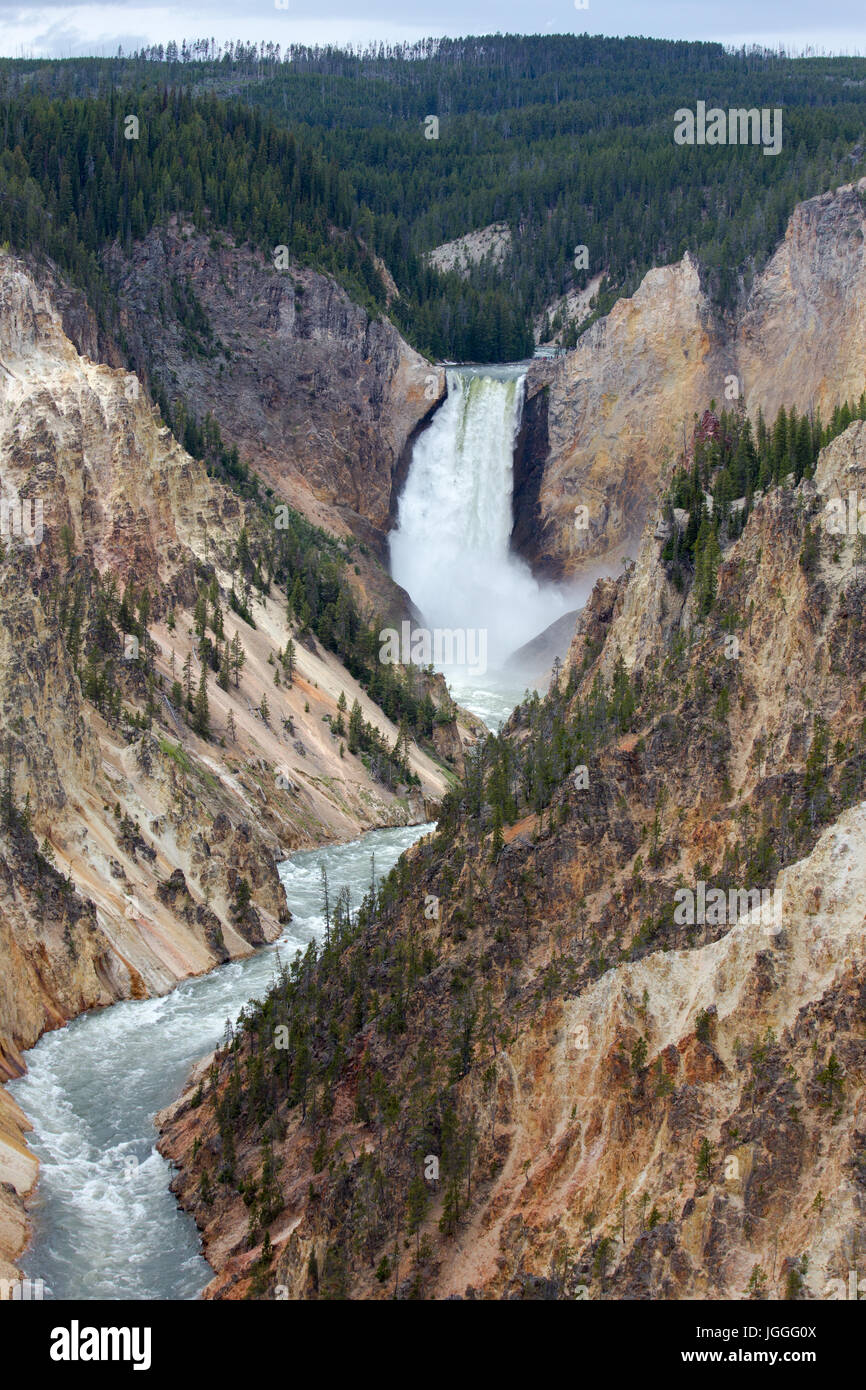 Vista sulle cascate inferiori come visto da un artista del punto nel Parco Nazionale di Yellowstone Foto Stock