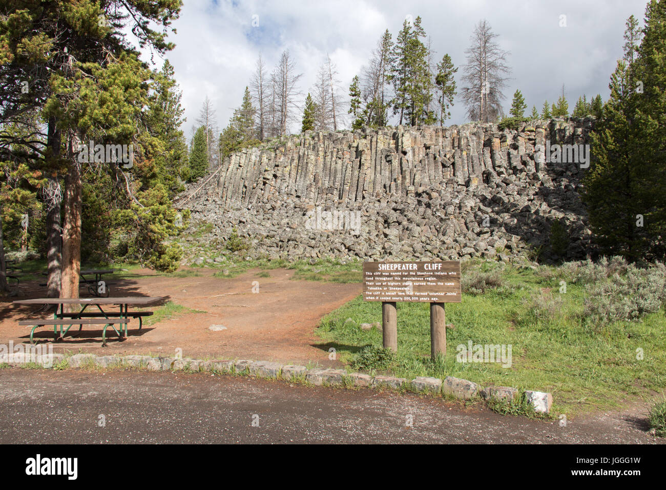 Sheepeater Cliff picknick area nel Parco Nazionale di Yellowstone Foto Stock