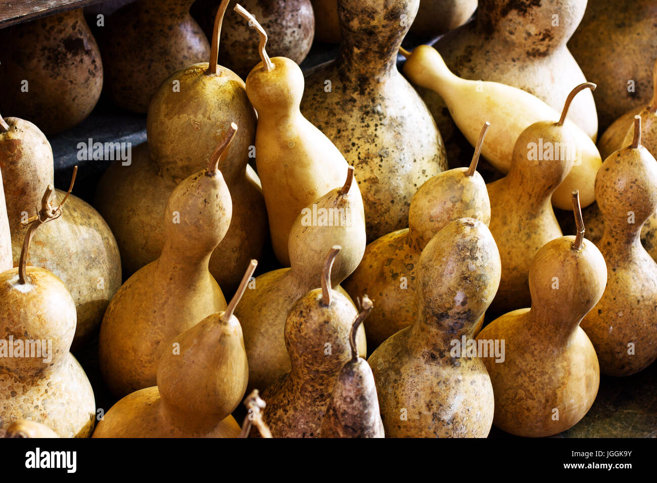 Zucche essiccate per tradizionale turco lampade fatte a mano Foto stock -  Alamy