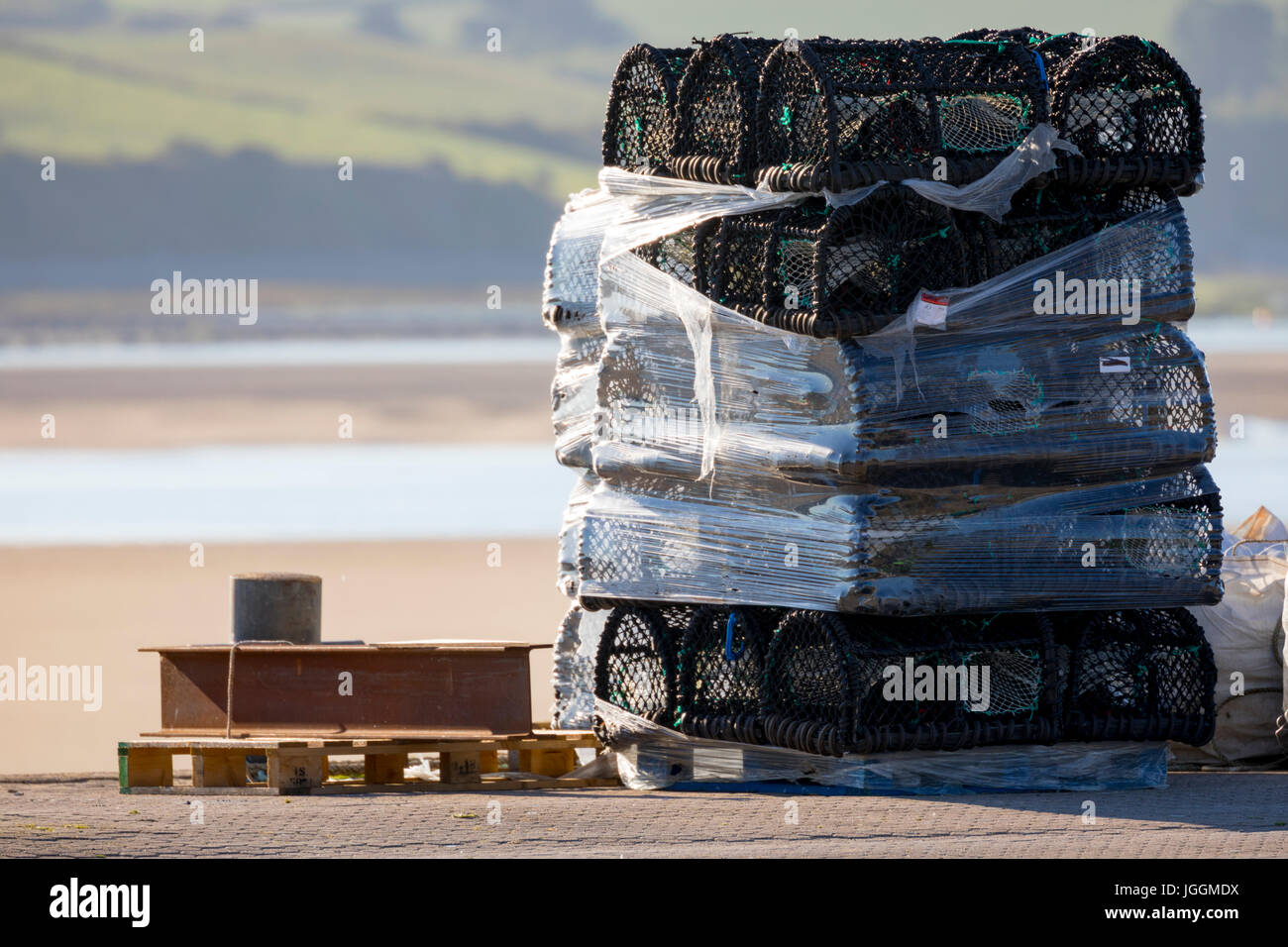 Nuovo e fresco avvolto in plastica Lobster Pot sulla parete del porto presso il popolare villaggio sul mare di Padstow, Cornwal, in Inghilterra su un giorno di estate Foto Stock