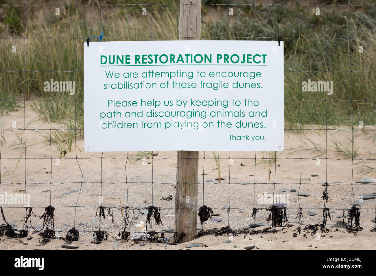 Dune Progetto di restauro segno e biancheria di recinzione con post presso la popolare spiaggia del resort a Daymer Bay in Cornovaglia Foto Stock